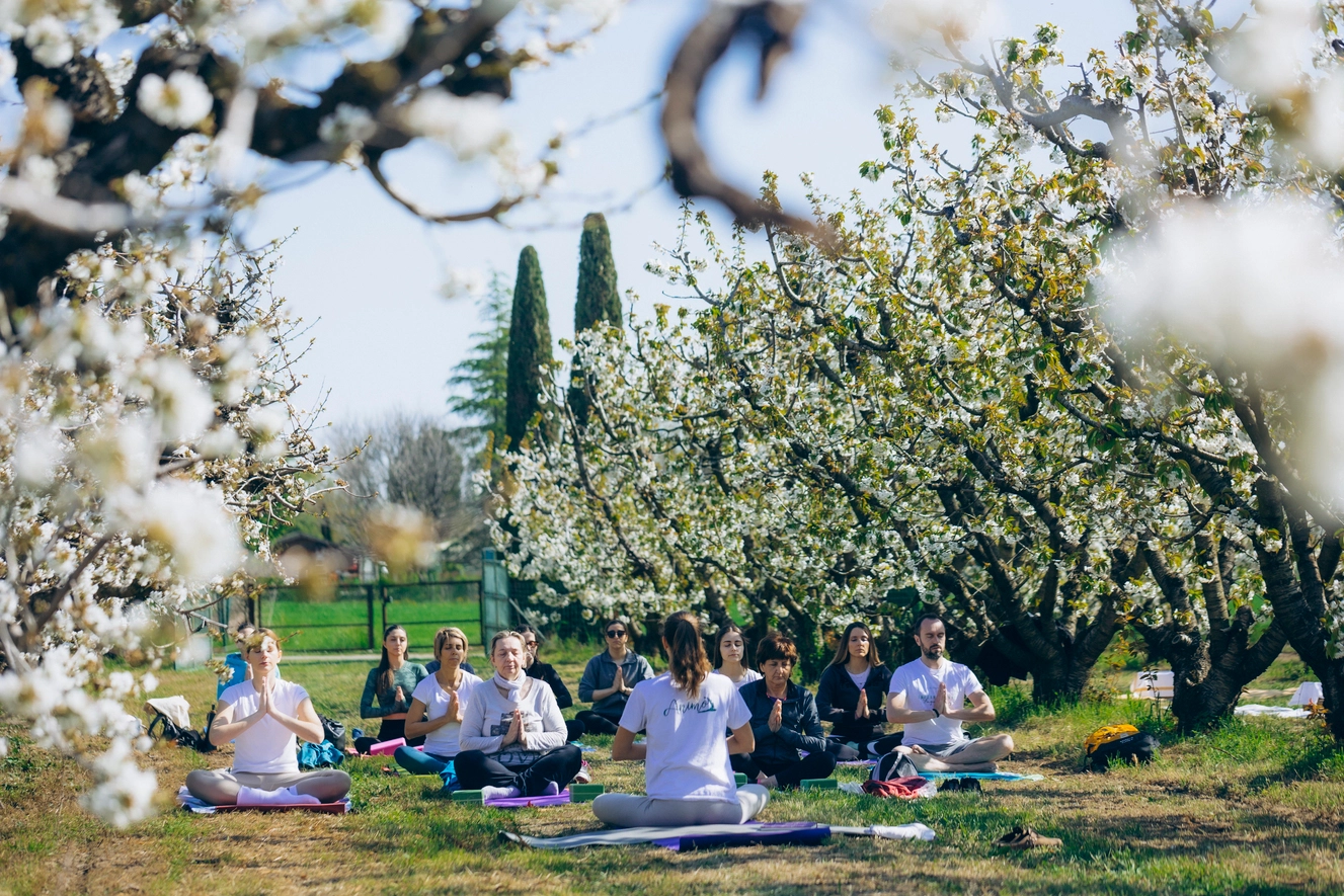 Yoga e pilates tra i ciliegi nel frutteto a Vignola